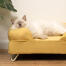 Cute fluffy white cat sleeping on mellow yellow cat bolster bed with white hairpin feet Cute fluffy white cat sleeping on mellow yellow cat bolster bed with white hairpin feet