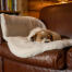 Terrier sleeping on cozy sheepskin blanket draped on tan leather sofa