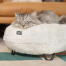 Cat Sleeping on a super soft donut cat bed in snowball white with customisable feet