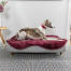 Greyhound resting in the memory foam Topology dog bed
