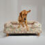 A retriever jumping off of the morning meadow bolster dog bed