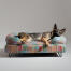 A german shepherd resting on top of the pawsteps electric bolster dog bed