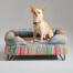 A chihuahua sat on the pawsteps electric bolster dog bed