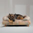 A german shepherd resting in the pawsteps natural bolster dog bed