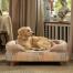 A miniature Golden retriever relaxing in the pawsteps natural bolster dog bed