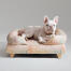 A french bulldog relaxing in the pawsteps natural bolster dog bed