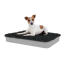 Dog Sitting on Medium Topology Dog Bed with Charcoal Grey Microfiber Topper Dog Sitting on Medium Topology Dog Bed with Charcoal Grey Microfiber Topper
