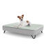 A puppy resting on the medium Topology puppy bed with black metal hairpin feet
