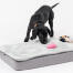 A puppy playing with a toy on the Topology puppy bed with quilted topper