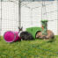 Zippi rabbit shelter with rabbit zippi platform and caddi rabbit treat holder