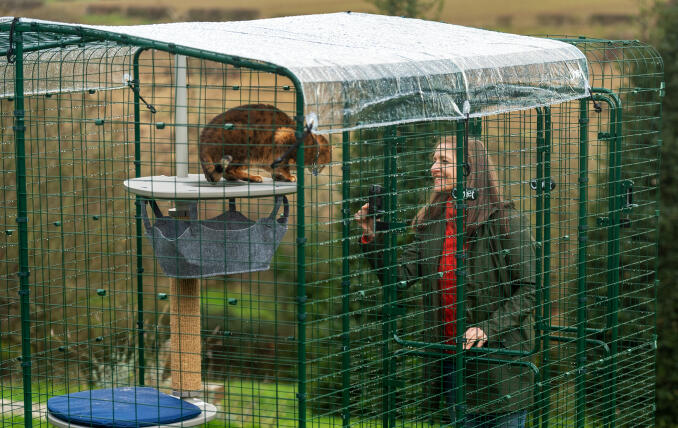 Owner interacting with her cat in an Omlet Walk In Run with clear weather protection.