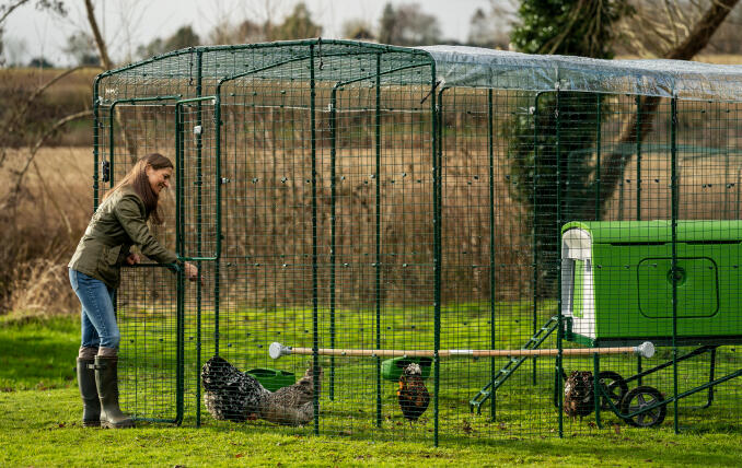 Owner opening the door to her walk in with chickens and an eglu cube chicken coop.