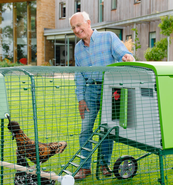 Older man in a checked shirt looking at his chickens in their coop with run