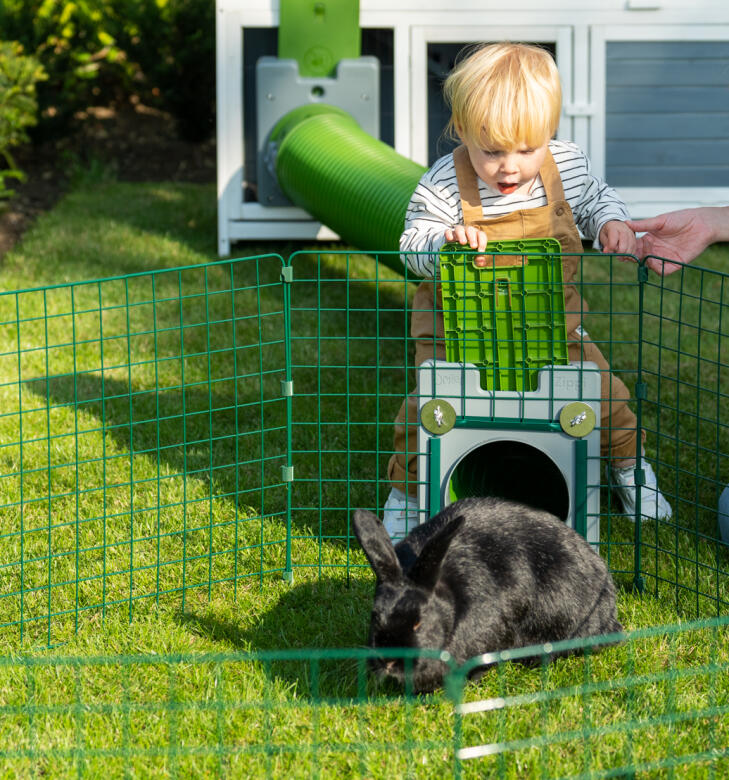 Little girl interacting with her rabbit in a Zippi tunnel system