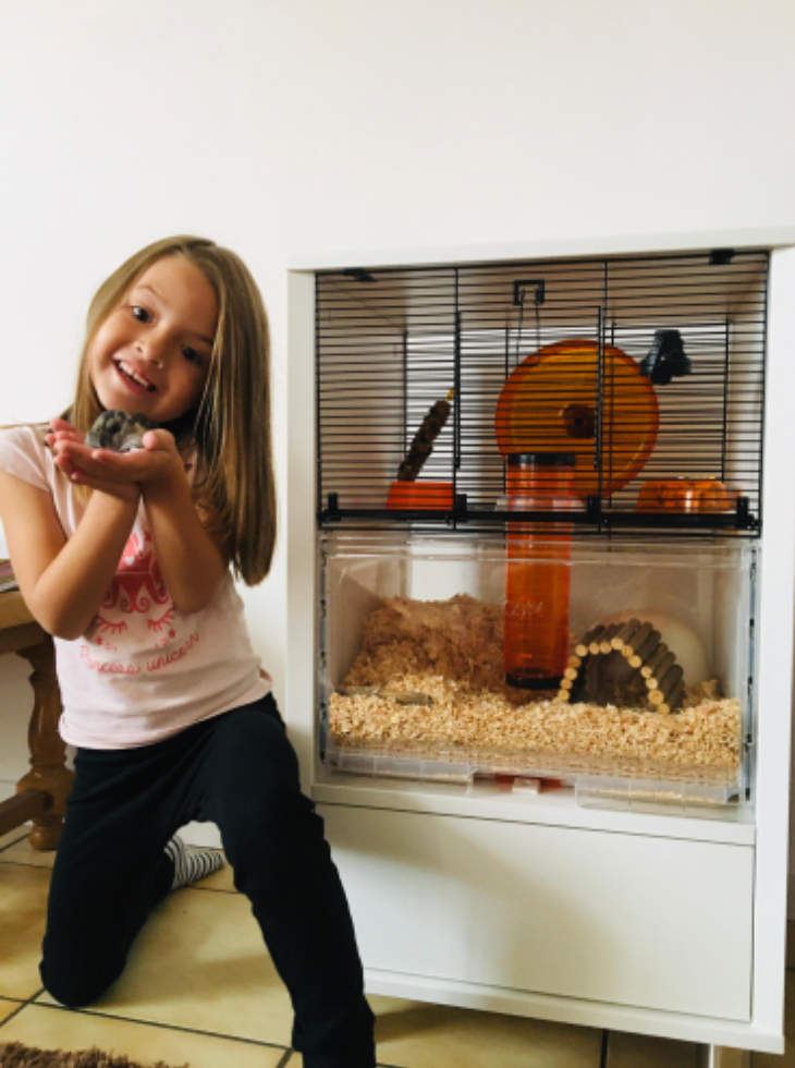 omlet gerbil cage