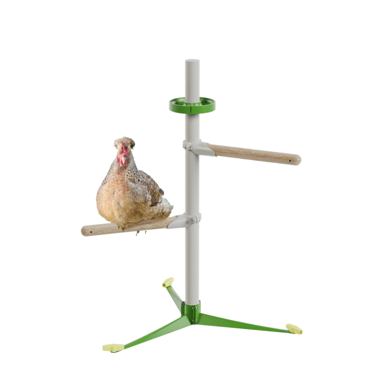 Freestanding Chicken Perch - Spring Chicken Kit