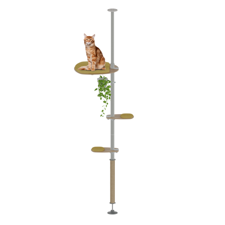 Freestyle - The Top Cat Kit - 7ft. to 8ft. 6.3 in.