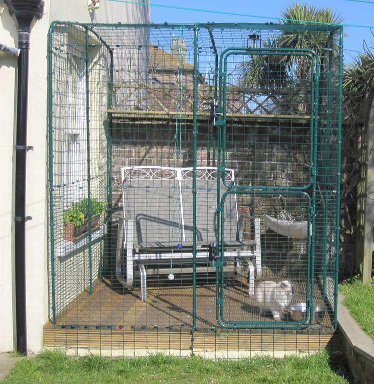 cat run cage