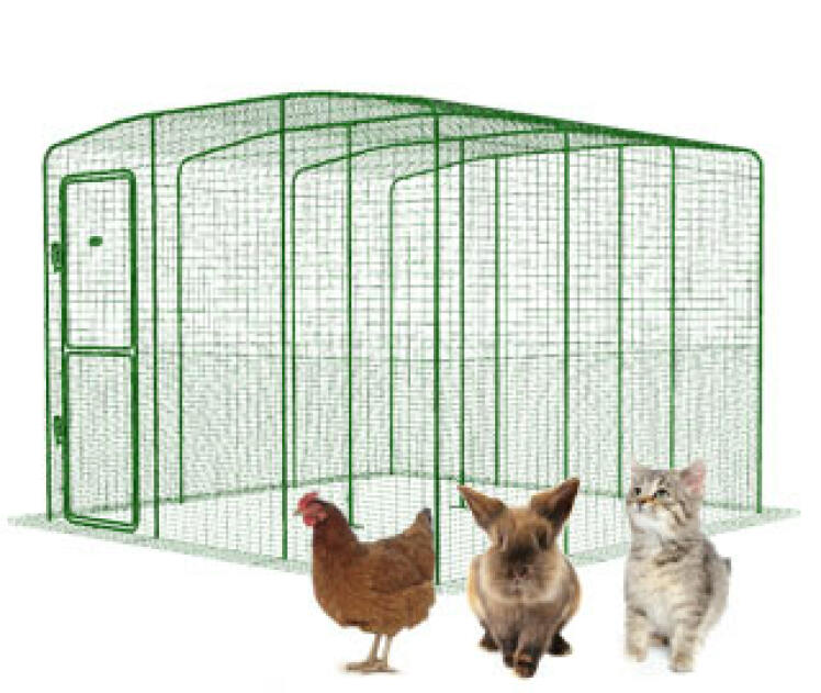 Outdoor Pet Enclosure