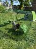 Safe home for my 8 year old chicken