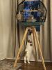 Great cage and features. My bird love it!