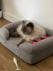 Great bed, looks so good