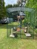 Fantastic Outdoor Space for Our Cats