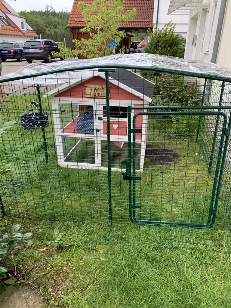 guinea pig garden run