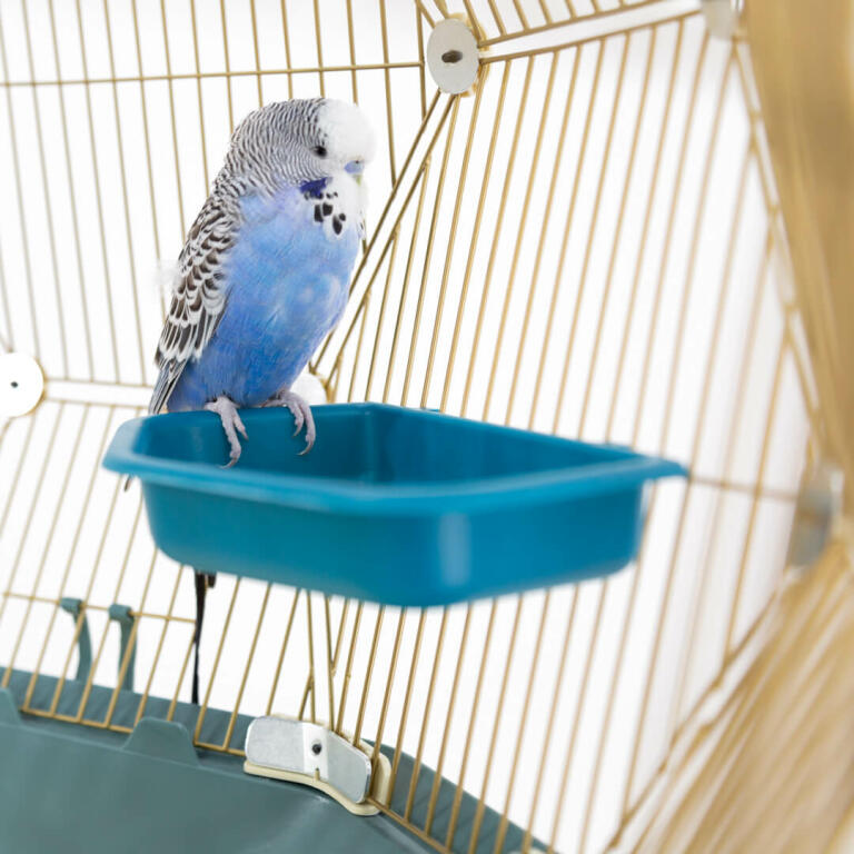 Bird Water Bath Tub For Pet Bird Cage Hanging Bowl Parrots Parakeet Birdbath YB 