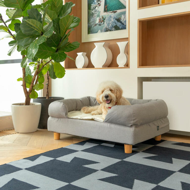 dog bed base