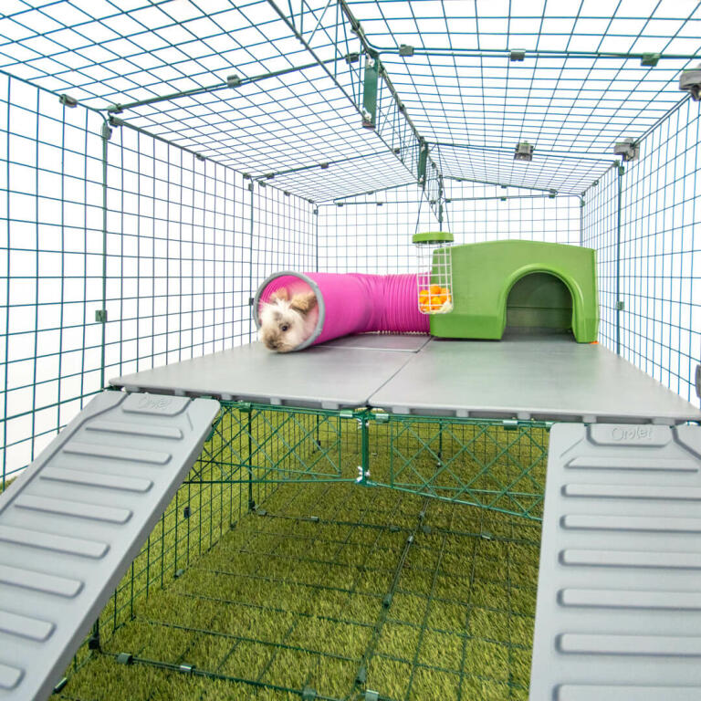 Zippi Rabbit Platforms 4 panels 2 ramps Omlet