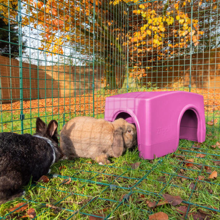Zippi Rabbit Shelter Green Omlet
