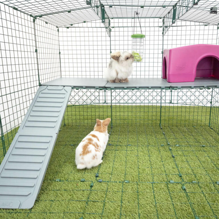 Zippi Rabbit Platforms 3 panels with Green Shelter and Play Tunnel