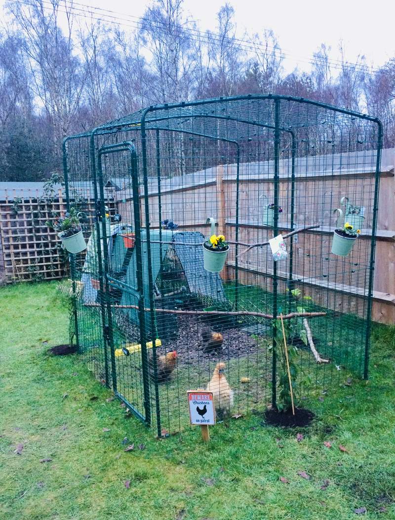 Omlet Walk In Chicken Run Extensions Chicken Coops, Walk in Chicken