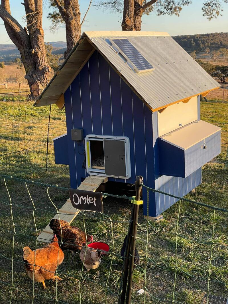 Automatic Chicken Coop Door Opener Omlet Chicken Coops, Walk in