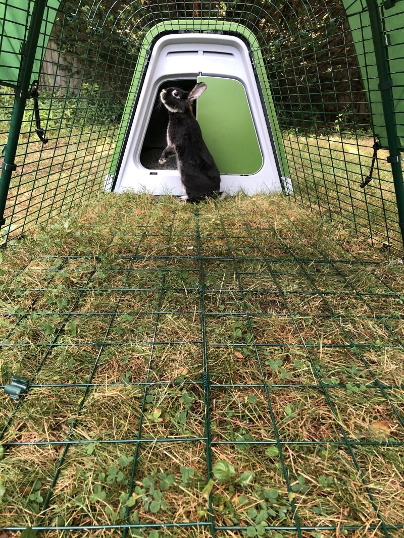 Eglu Go Rabbit Hutch Plastic House and Run for Rabbits Rabbit