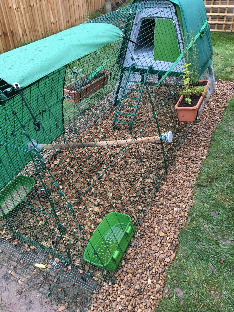 Portable Chicken Coop Eglu Go UP Chicken Coops, Walk in Chicken