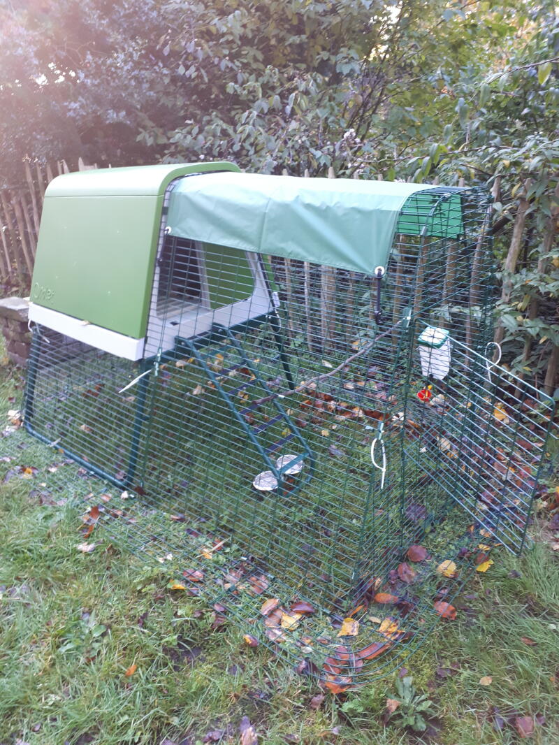 Portable Chicken Coop Eglu Go UP Chicken Coops, Walk in Chicken
