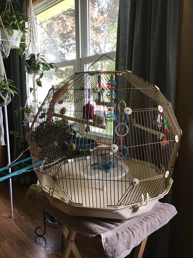 Geo Bird Cage The Beautiful Geodesic Parakeets Cage