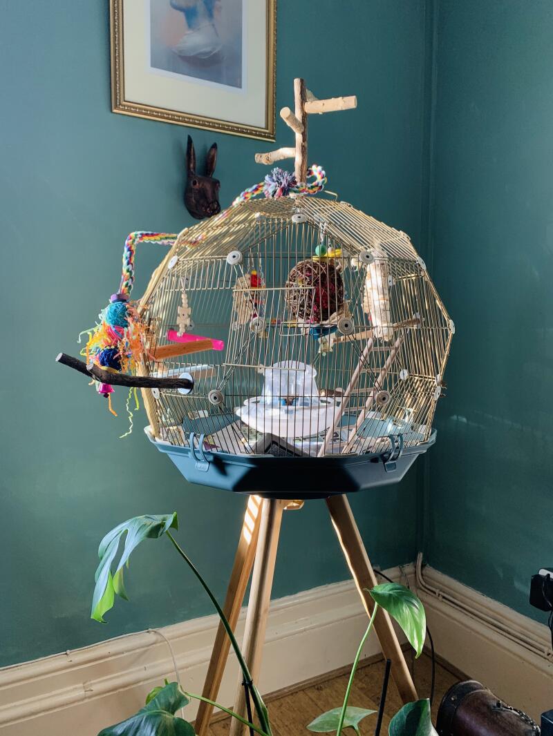 Geo Bird Cage The Beautiful Geodesic Parakeets Cage