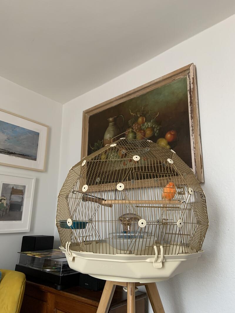 Geo Bird Cage The Beautiful Geodesic Parakeets Cage