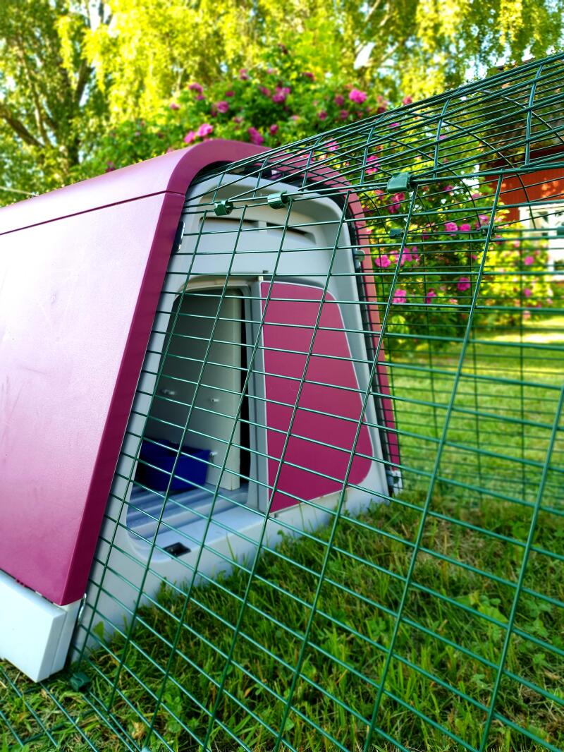 Eglu Go Rabbit Hutch Plastic House and Run for Rabbits Rabbit