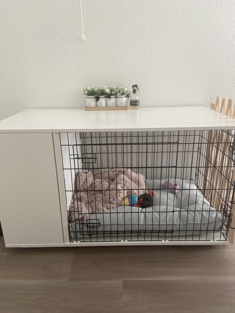 Omlet Fido Studio