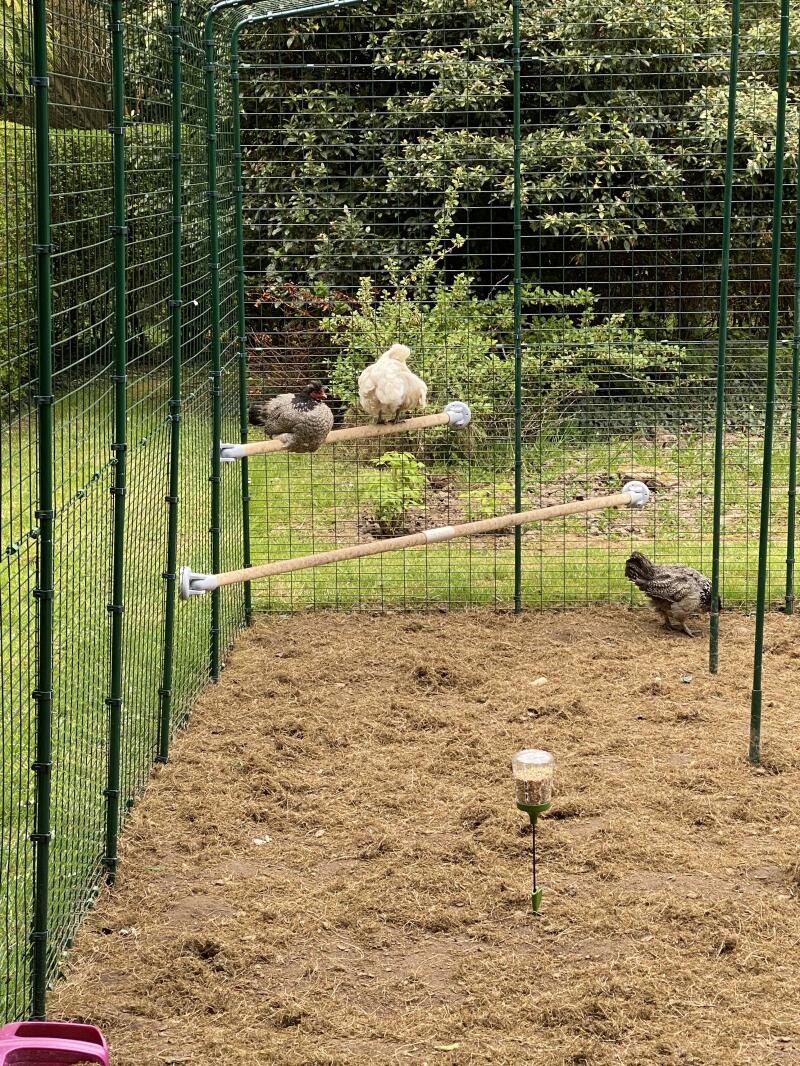 Omlet The Omlet Chicken Perch Chicken Coops, Walk in Chicken Runs