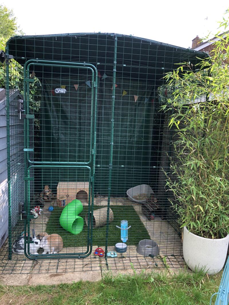 rabbit pen outdoor