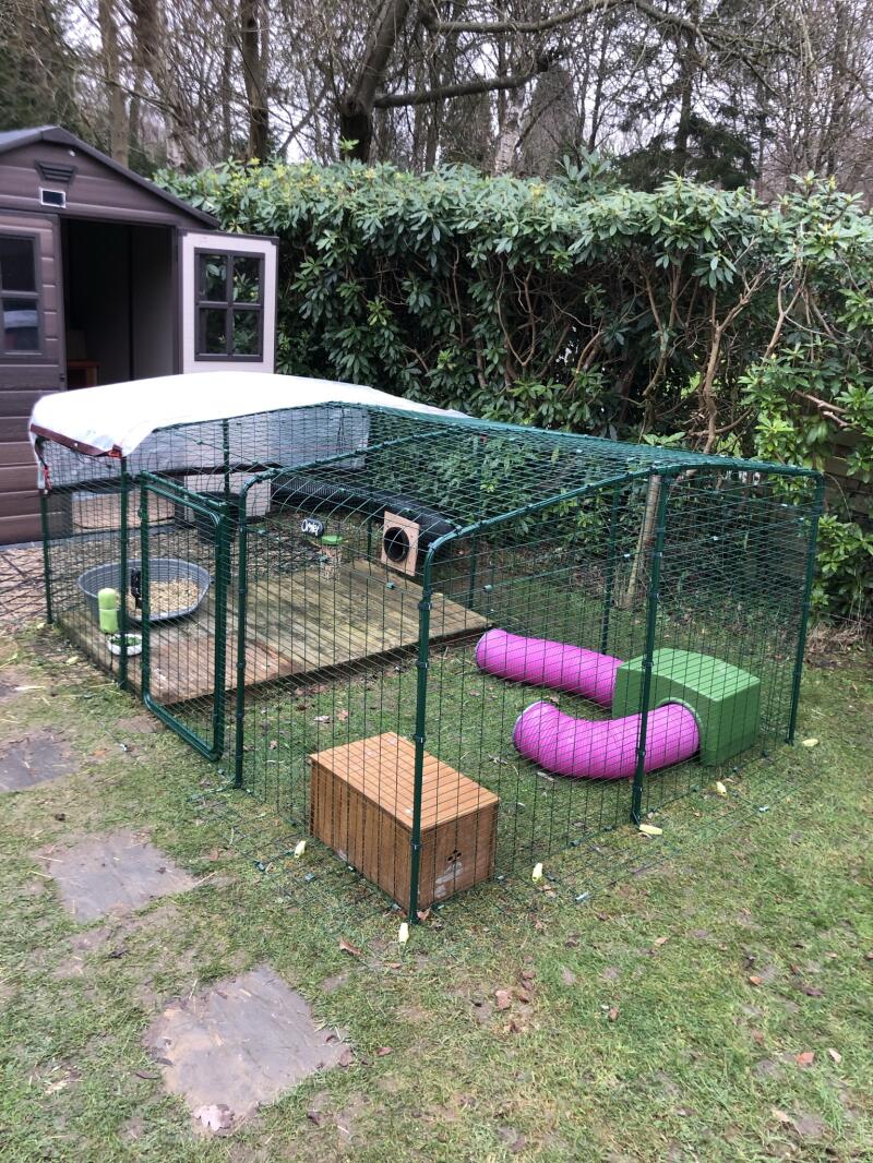 Outdoor Rabbit Run Large Outdoor Rabbit Enclosure Omlet