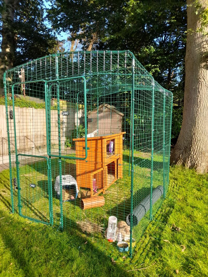 Outdoor Rabbit Run Large Outdoor Rabbit Enclosure Omlet