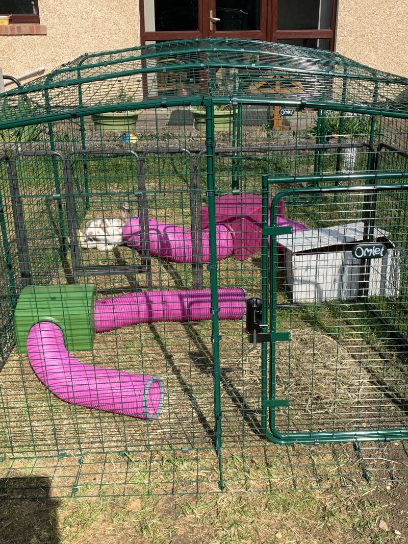 Outdoor Rabbit Run Large Outdoor Rabbit Enclosure Omlet