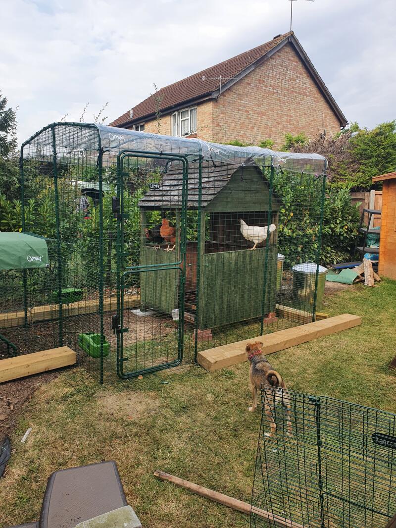 Walk in Chicken Run Large Outdoor Chicken Enclosure