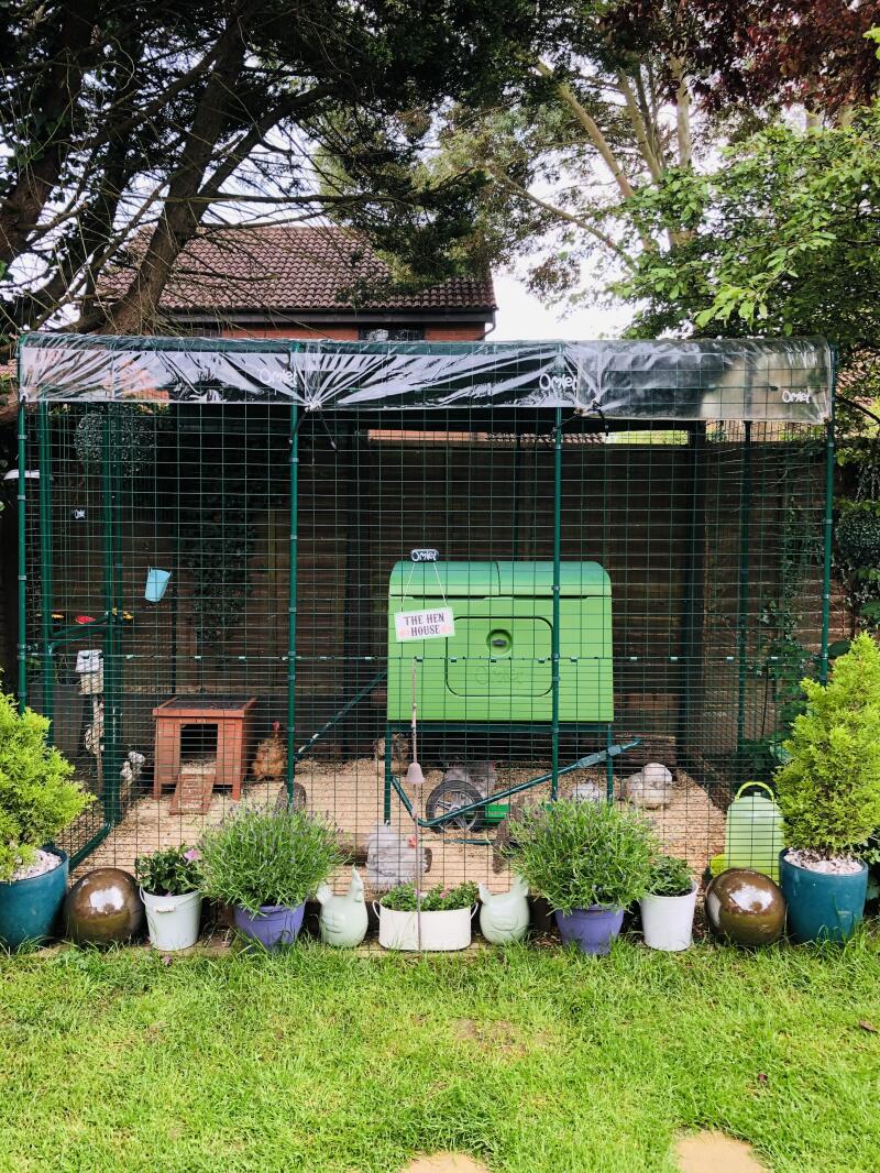 Omlet Walk in Chicken Runs Large Outdoor Chicken Enclosure Chicken